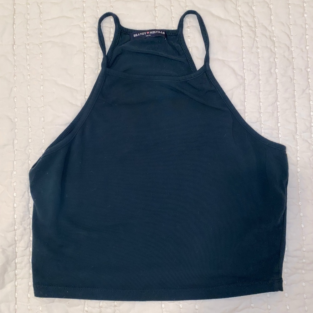 Brandy Melville Crop Top
